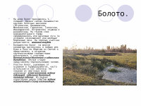 Болотные истории. Иванищевское болото во Владимирской области. Бакшеевское болото. Развитие болотных массивов. Болото это определение.